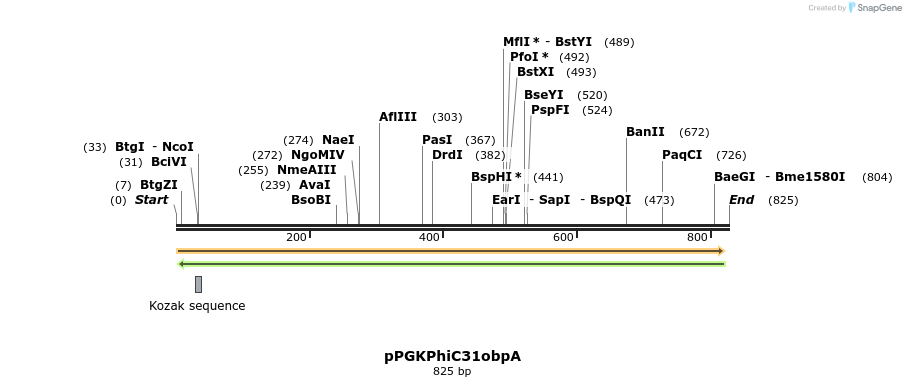 99084_map