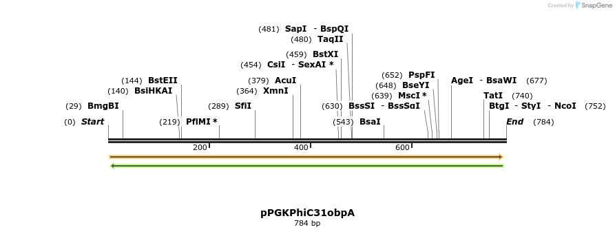 99085_map