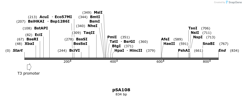 99087_map