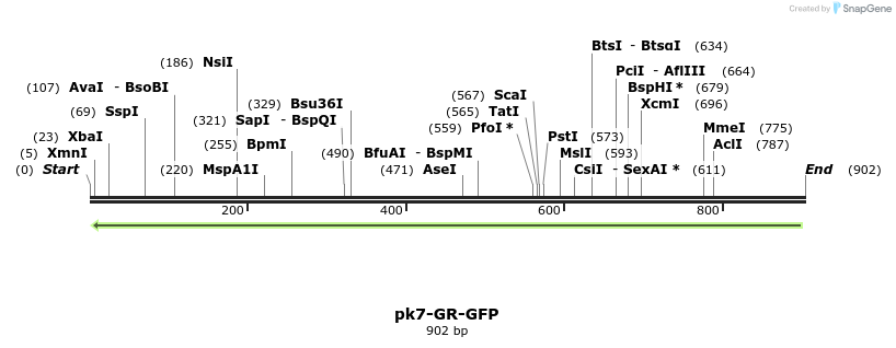 99089_map