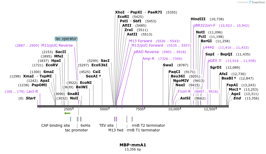 99090_map
