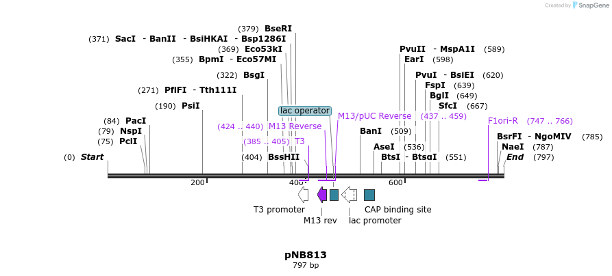 99094_map