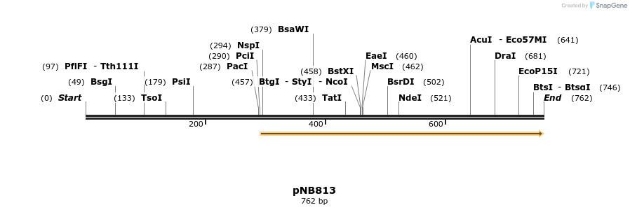99095_map
