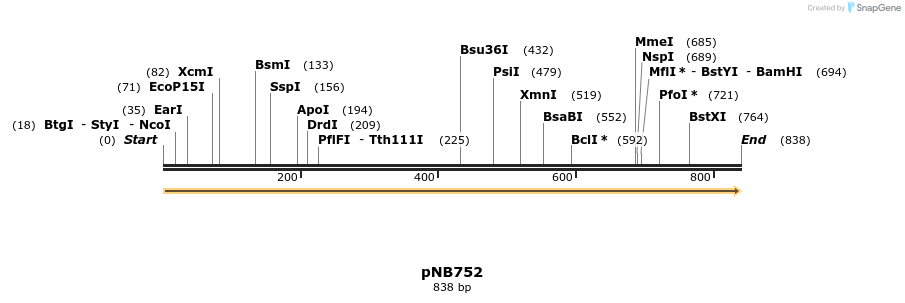 99096_map