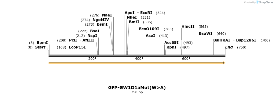 9912_map