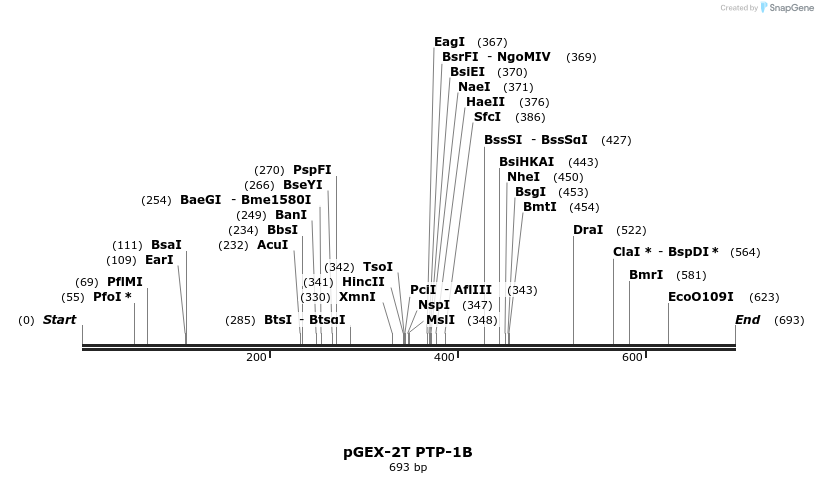 99121_map