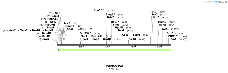 99130_map