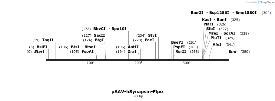 99131_map