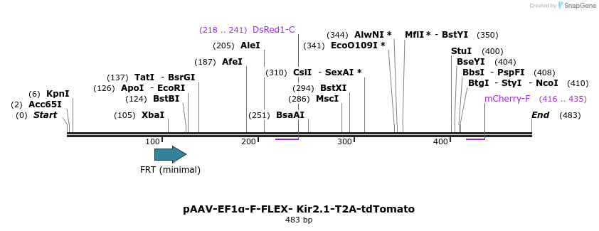 99132_map