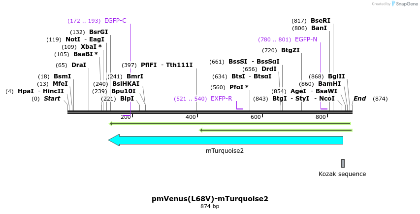 99136_map
