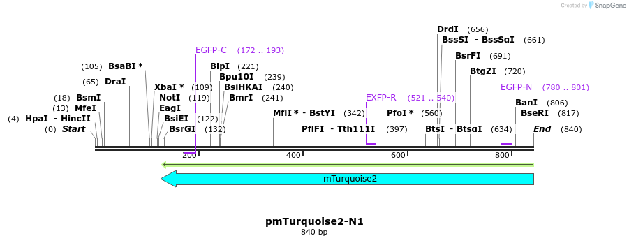 99140_map