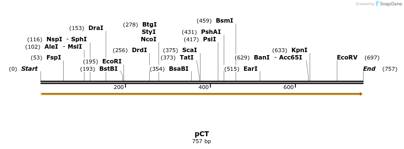 99142_map