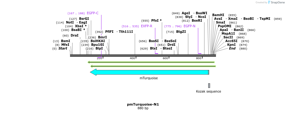 99145_map