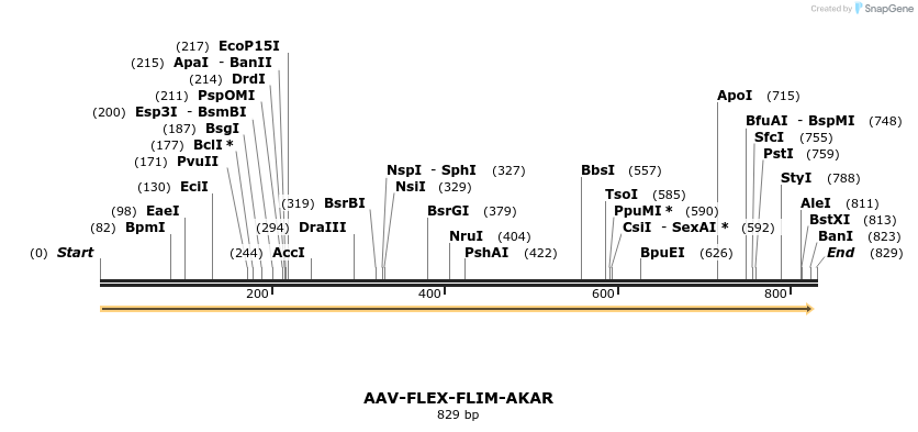 99146_map