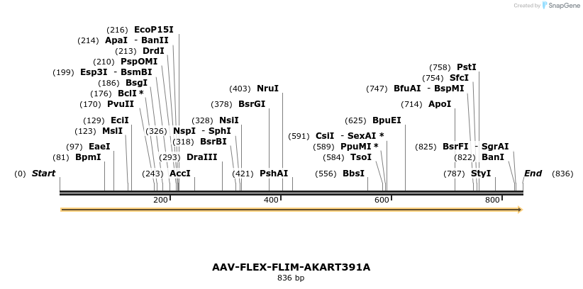 99147_map