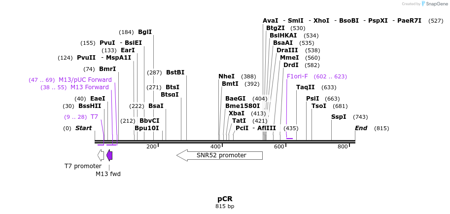 99148_map