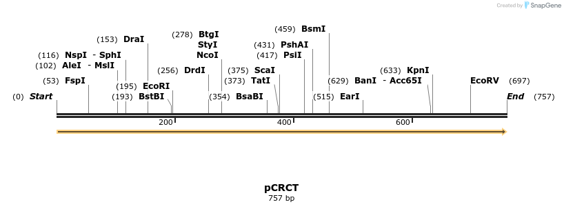 99150_map