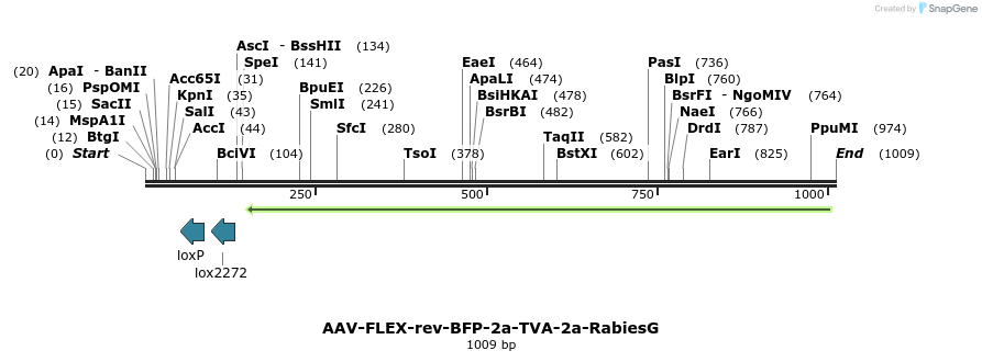 99153_map