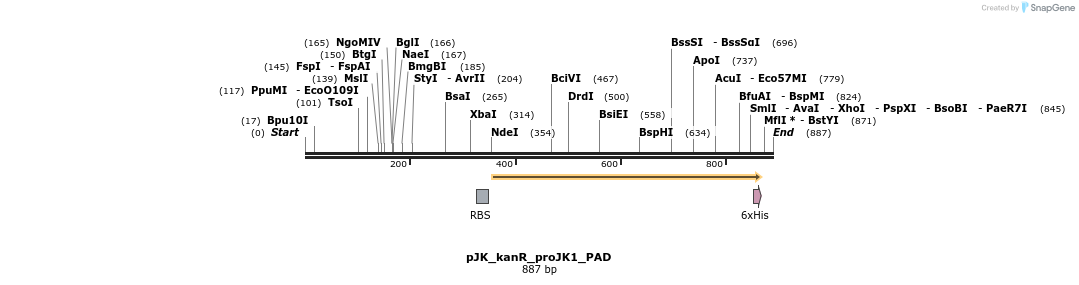 99155_map