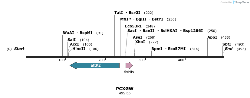 99157_map