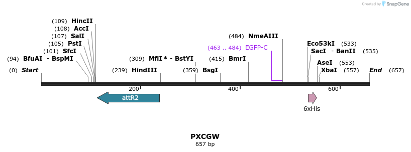 99160_map
