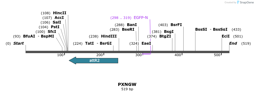 99163_map