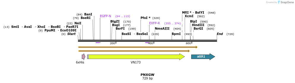 99167_map