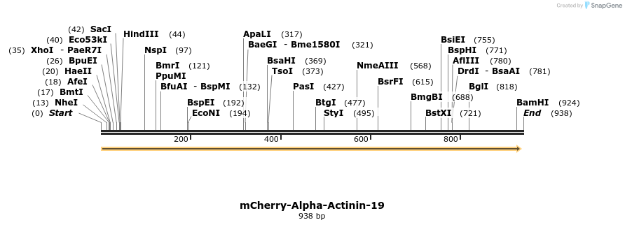 99168_map