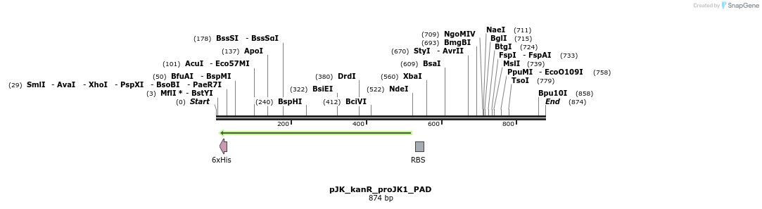 99170_map