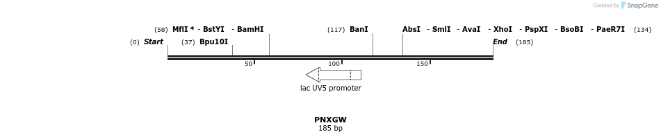 99171_map