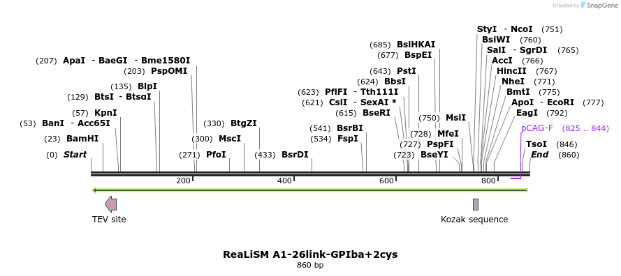 99177_map