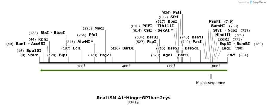 99179_map