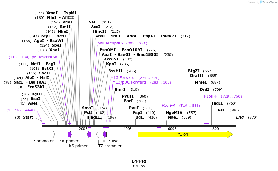 99187_map