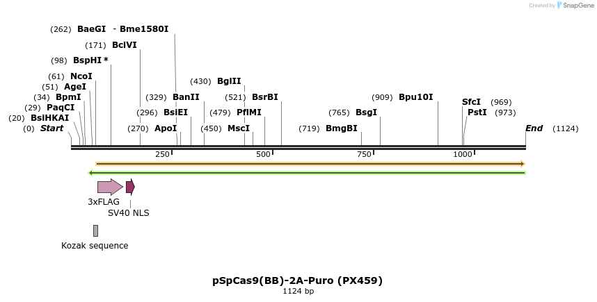 99195_map