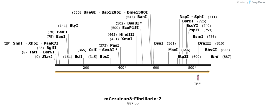 99197_map
