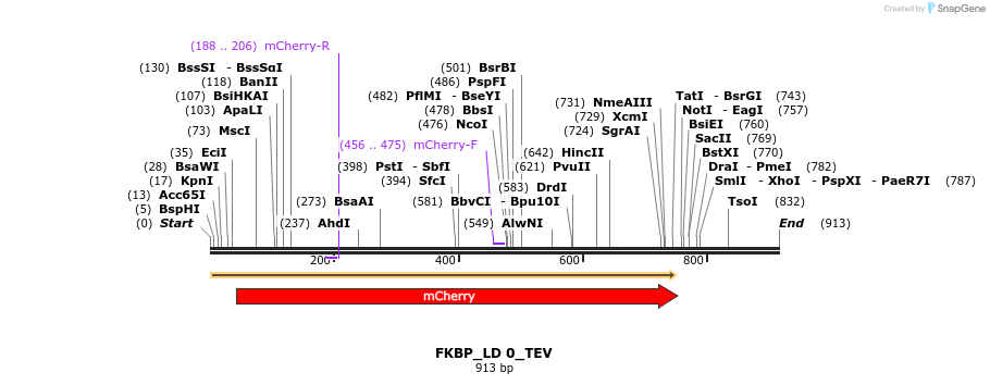 99202_map