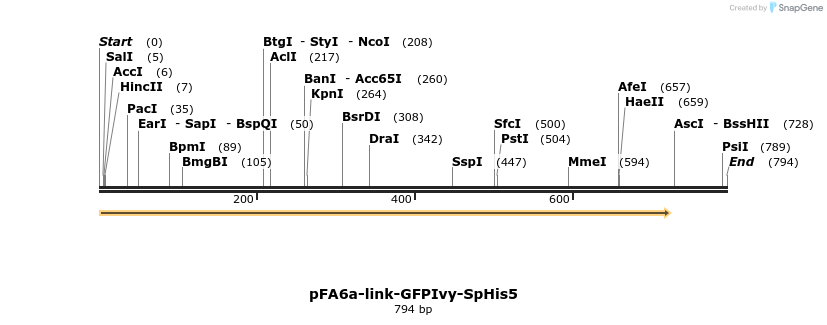 99204_map