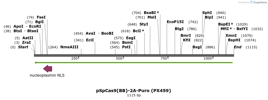 99206_map