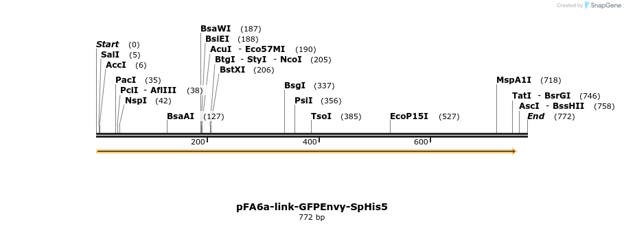 99209_map