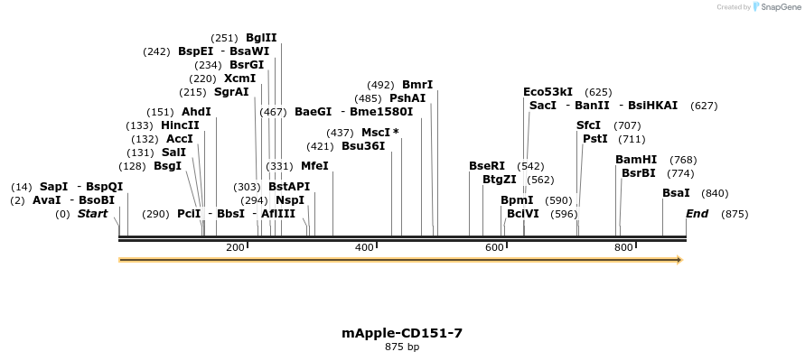 99212_map