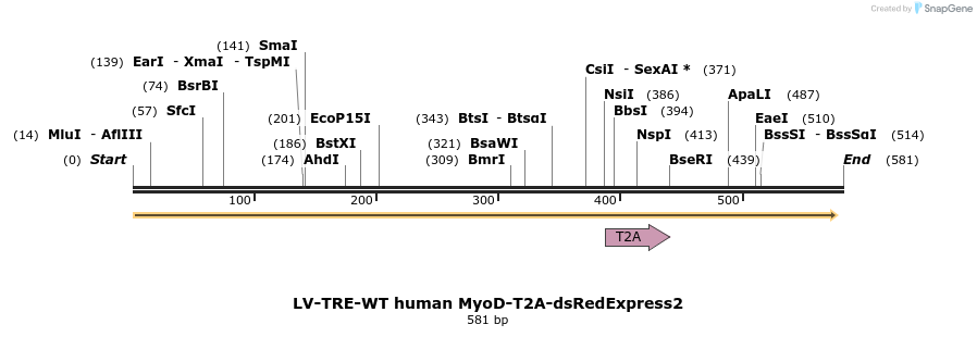 99240_map