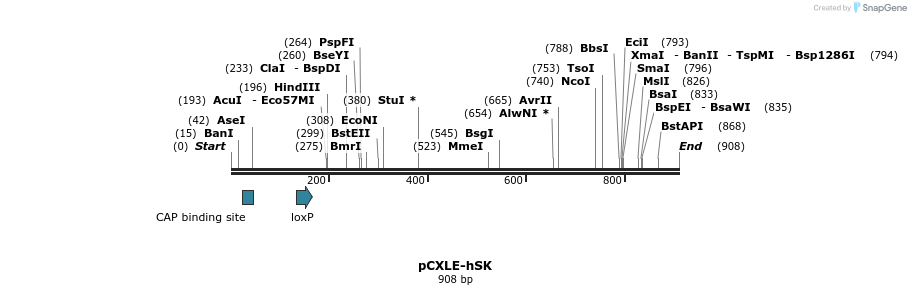 99243_map