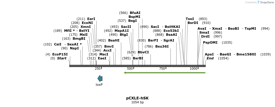 99245_map