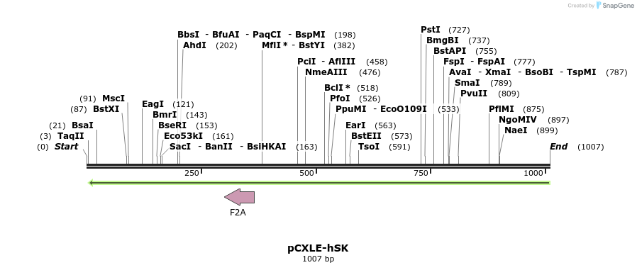 99246_map