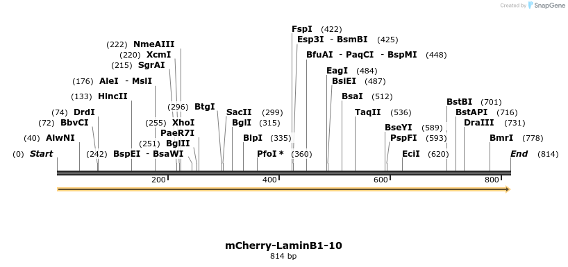 99247_map