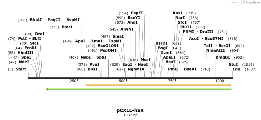 99249_map