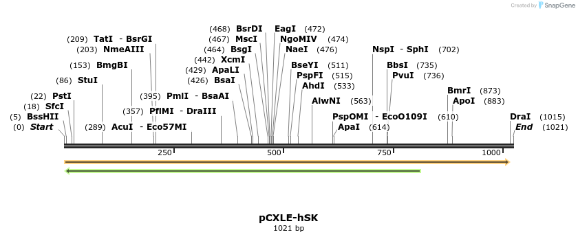 99251_map