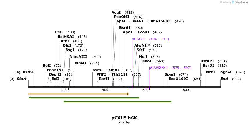 99253_map