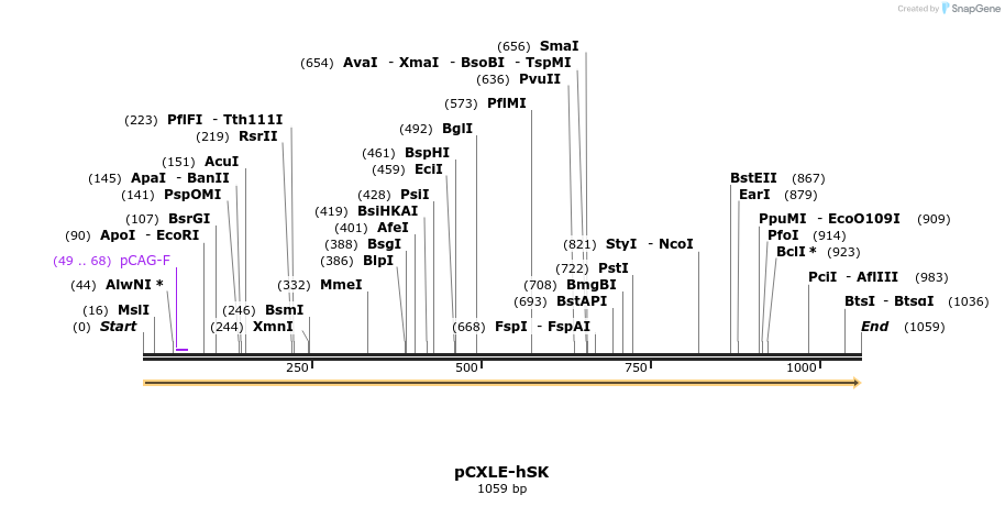 99255_map