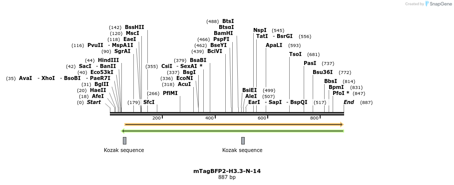 99256_map